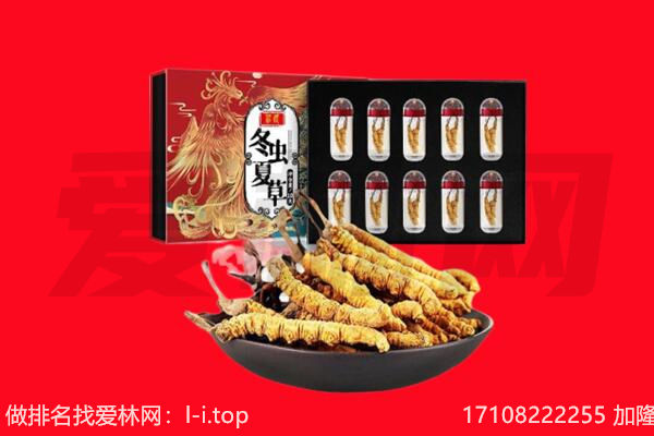 宁波回收虫草.jpg